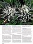 Page: - 128 | High Times
