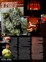 Page: - 17 | High Times