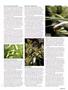 Page: - 39 | High Times