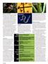 Page: - 40 | High Times