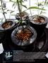 Page: - 56 | High Times