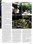 Page: - 67 | High Times
