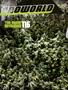 Page: - 97 | High Times