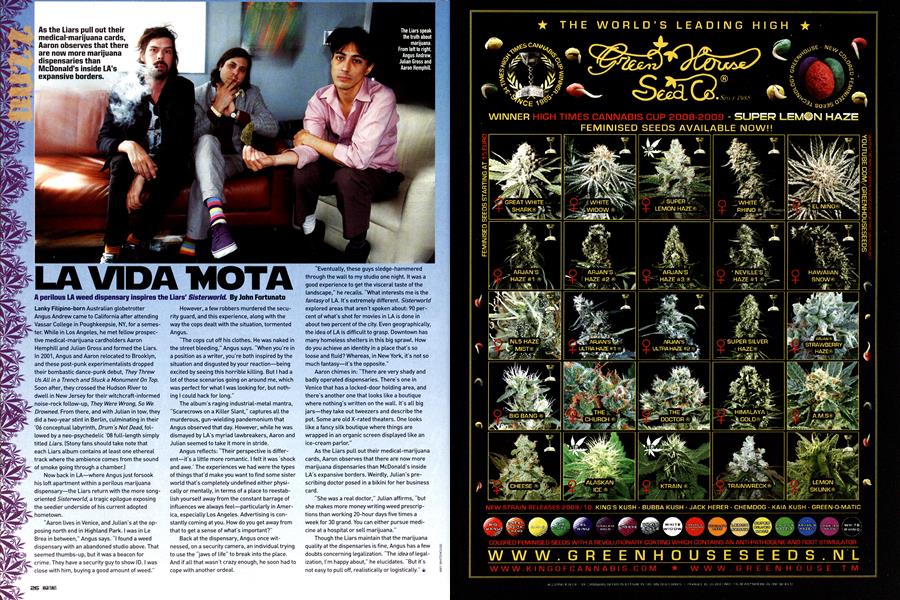 LA VIDA MOTA
