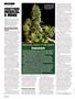 Page: - 102 | High Times