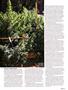 Page: - 111 | High Times
