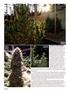 Page: - 112 | High Times