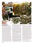 Page: - 114 | High Times