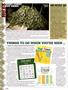 Page: - 16 | High Times