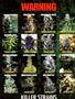 Page: - 2 | High Times