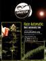 Page: - 29 | High Times