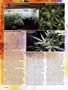 Page: - 38 | High Times