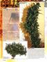 Page: - 40 | High Times