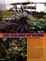 Page: - 50 | High Times