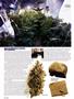 Page: - 54 | High Times