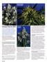 Page: - 66 | High Times