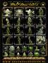 Page: - 73 | High Times