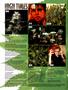 Page: - 8 | High Times