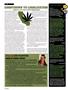 Page: - 104 | High Times
