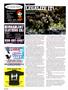 Page: - 106 | High Times