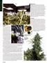 Page: - 112 | High Times