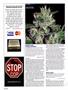 Page: - 122 | High Times