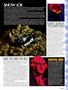 Page: - 13 | High Times