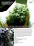 Page: - 42 | High Times