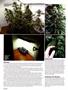 Page: - 46 | High Times