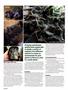 Page: - 48 | High Times