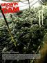 Page: - 52 | High Times