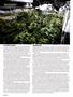 Page: - 54 | High Times