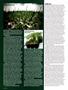 Page: - 58 | High Times