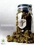 Page: - 61 | High Times