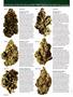 Page: - 66 | High Times
