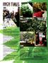 Page: - 8 | High Times