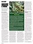 Page: - 102 | High Times
