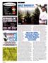 Page: - 106 | High Times