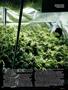 Page: - 111 | High Times