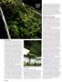 Page: - 112 | High Times