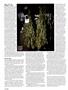 Page: - 114 | High Times