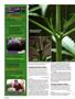Page: - 124 | High Times