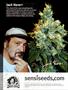 Page: - 134 | High Times