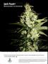 Page: - 135 | High Times