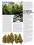 Page: - 38 | High Times