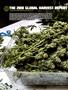 Page: - 42 | High Times