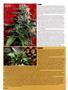 Page: - 48 | High Times