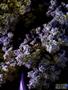 Page: - 69 | High Times