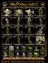 Page: - 73 | High Times