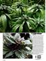 Page: - 74 | High Times